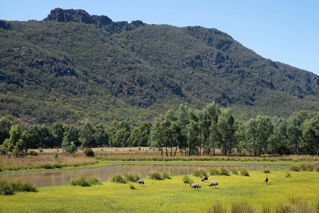 Halls Gap Motel Ngoại thất bức ảnh