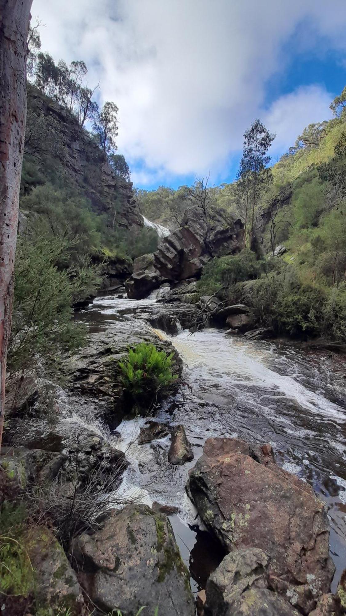 Halls Gap Motel Ngoại thất bức ảnh