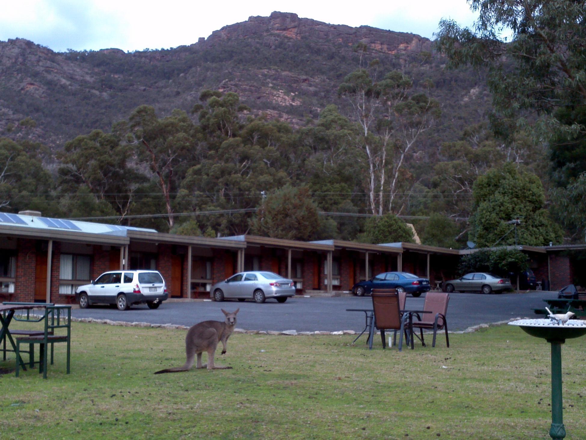 Halls Gap Motel Ngoại thất bức ảnh