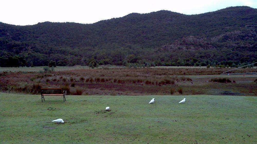 Halls Gap Motel Ngoại thất bức ảnh